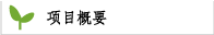项目概要