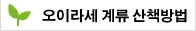 오이라세 계류 산책방법