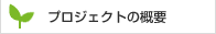 プロジェクト概要